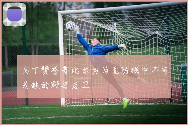 戈丁赞誉普比尔为马竞防线中不可或缺的野兽后卫